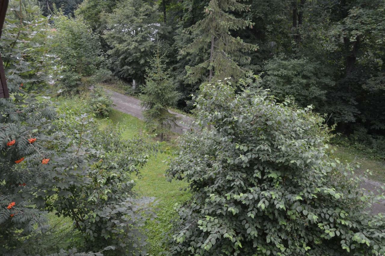 Chata Adrian Slovak Paradise Spisske Tomasovce Exterior photo